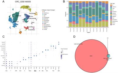 Exploiting branched-chain amino acid metabolism and NOTCH3 expression to predict and target colorectal cancer progression